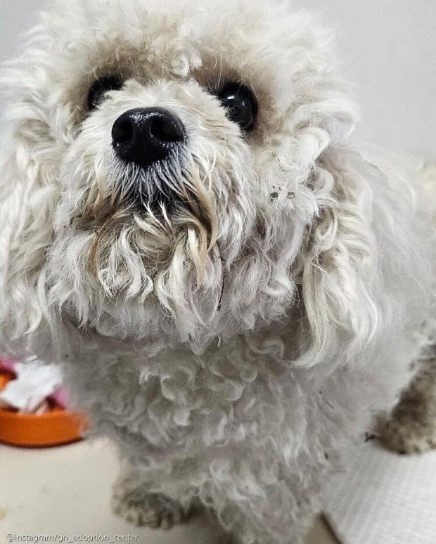 시골 마을에 한꺼번에 버려진 삼 형제..그래도 여전히 사람 좋아