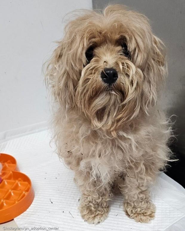 시골 마을에 한꺼번에 버려진 삼 형제..그래도 여전히 사람 좋아