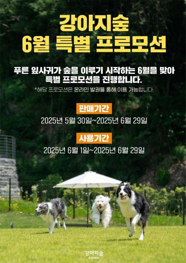 ⓒ노트펫