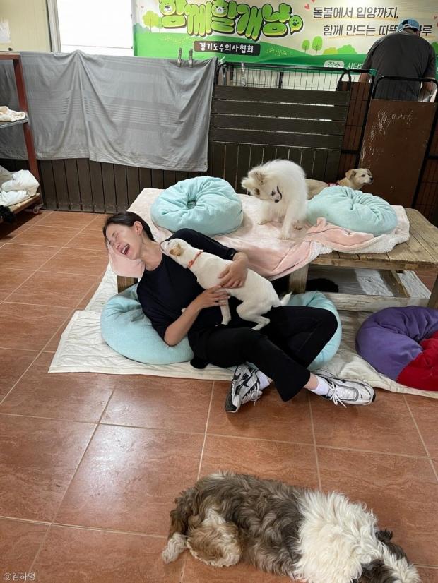 사진