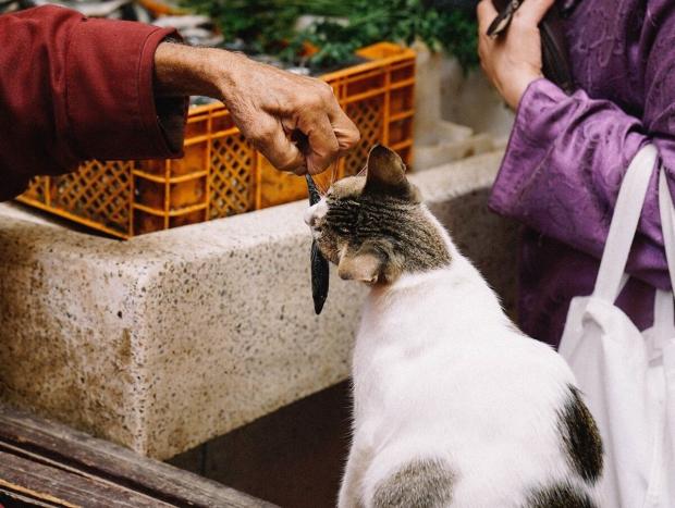 본 사진은 기사와 관련 없음