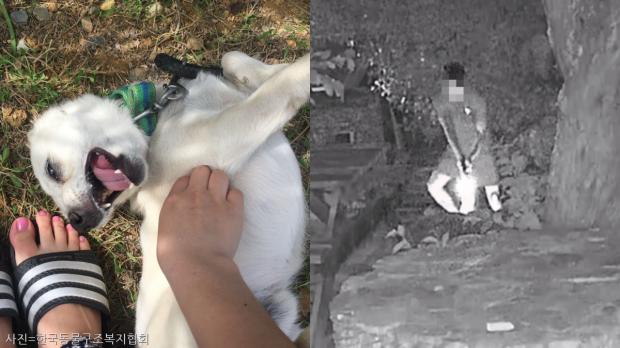 '해병대 비비탄 사격' 가해자에게 왜 그랬냐 물으니..그냥 반응이 궁금해서