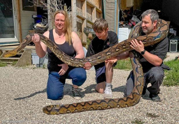 ⓒFacebook/RSG Reptiles