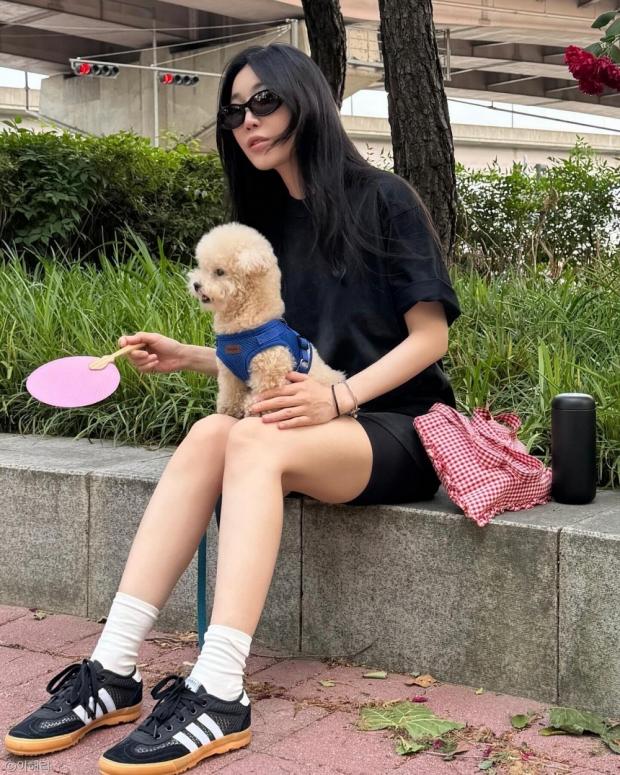 사진