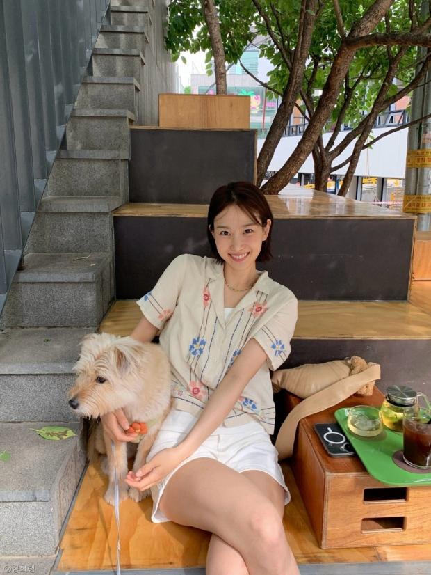 사진