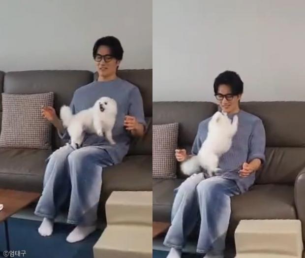 ⓒ노트펫
