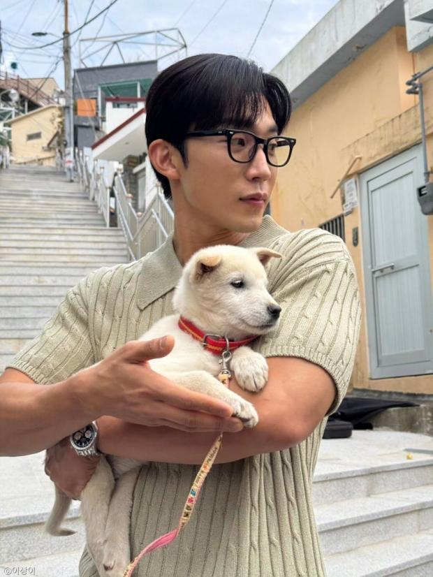 사진