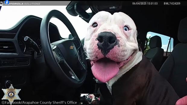 ⓒFacebook/Arapahoe County Sheriff's Office