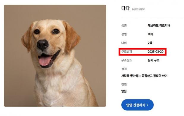 어린 강아지 나이 부풀려 해외 입양 보낸 동물단체..검역본부 나섰다