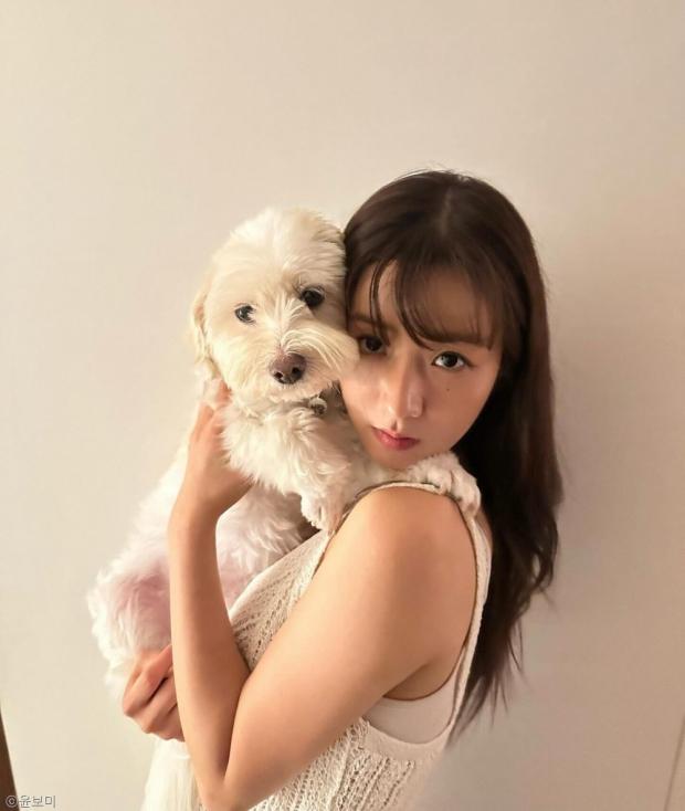 설탕