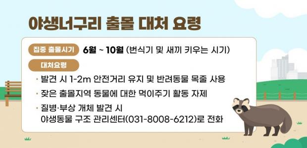 ⓒ노트펫