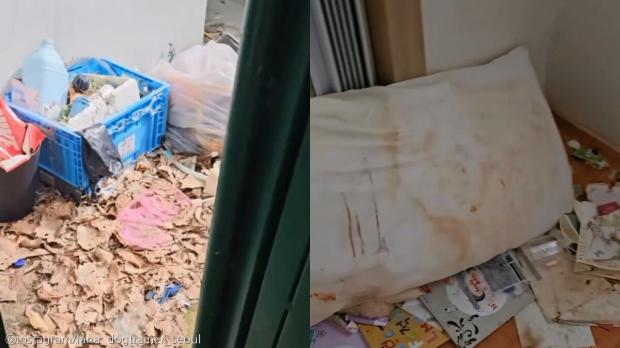 의정부 빈집에 홀로 남겨진 강아지..학대 의심에 집주인은 '방 빼라'