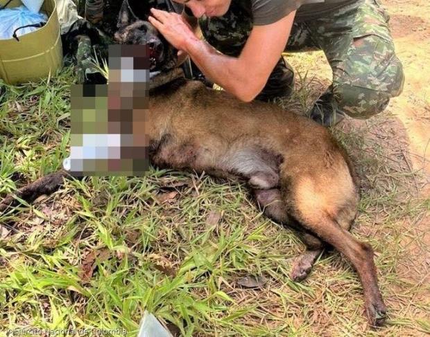 ⓒEjército Nacional de Colombia