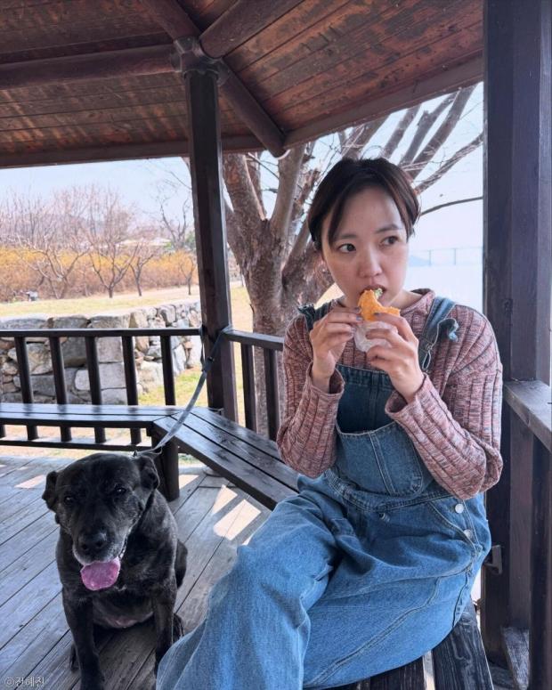 사진
