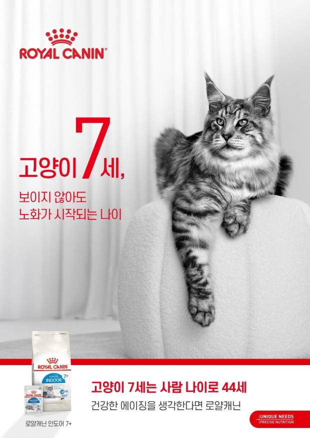 ⓒ노트펫
