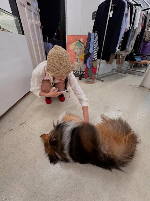 사진