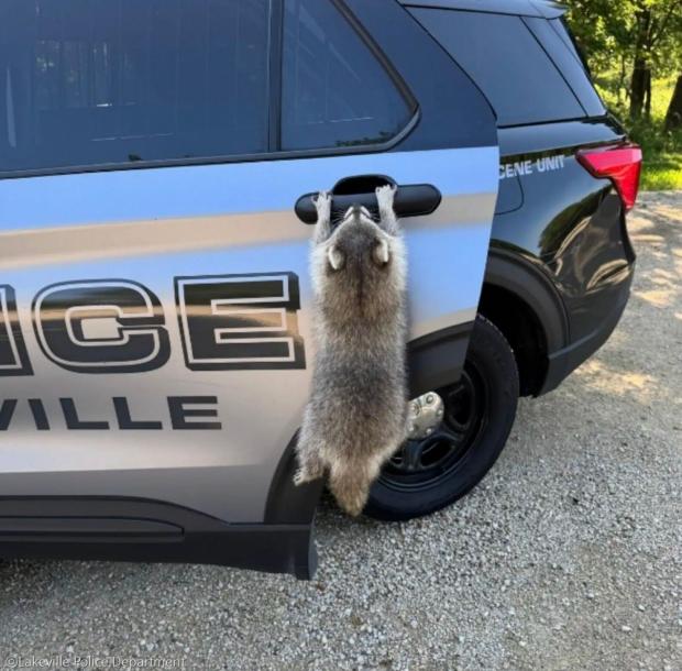 ⓒLakeville Police Department