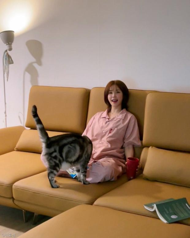 사진
