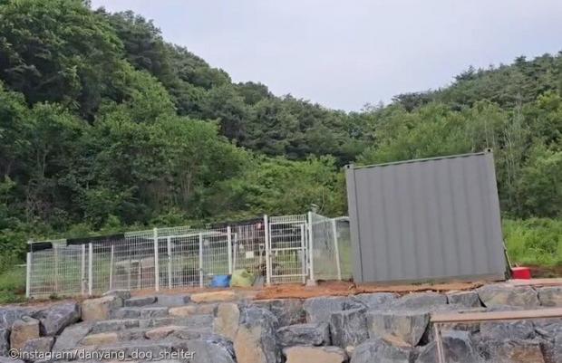 신축 직영 동물 보호소 지은 단양군, 하지만 부족한 견사에 문도 없어