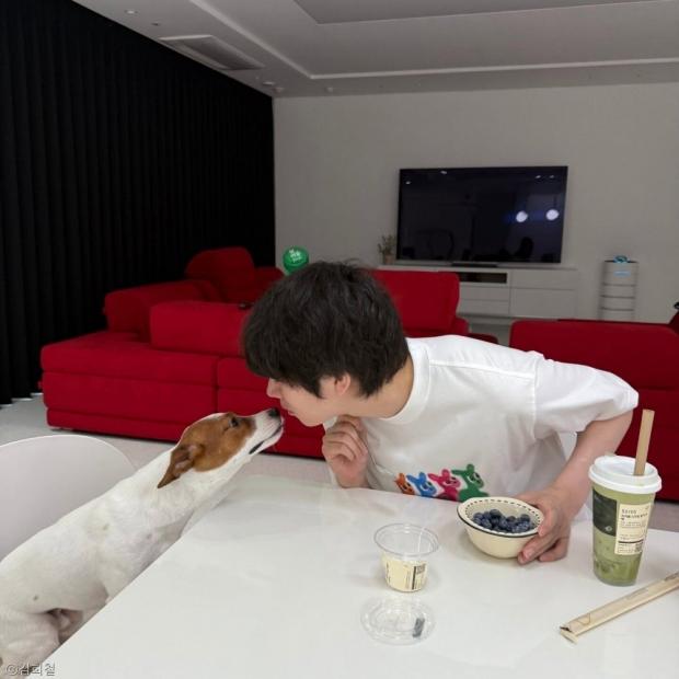 사진