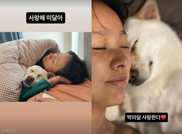 사진