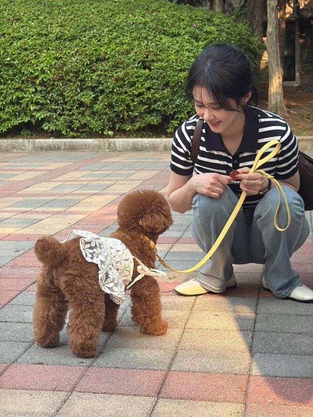 사진
