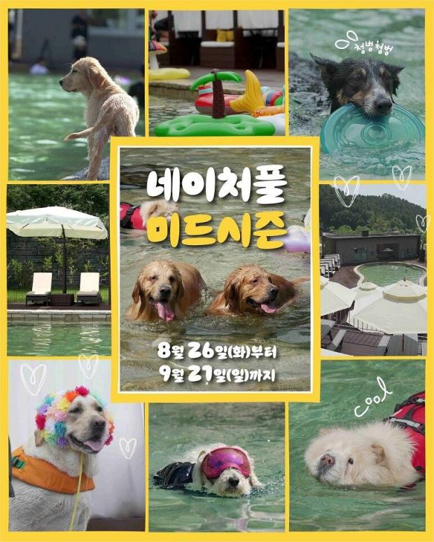 ⓒ노트펫