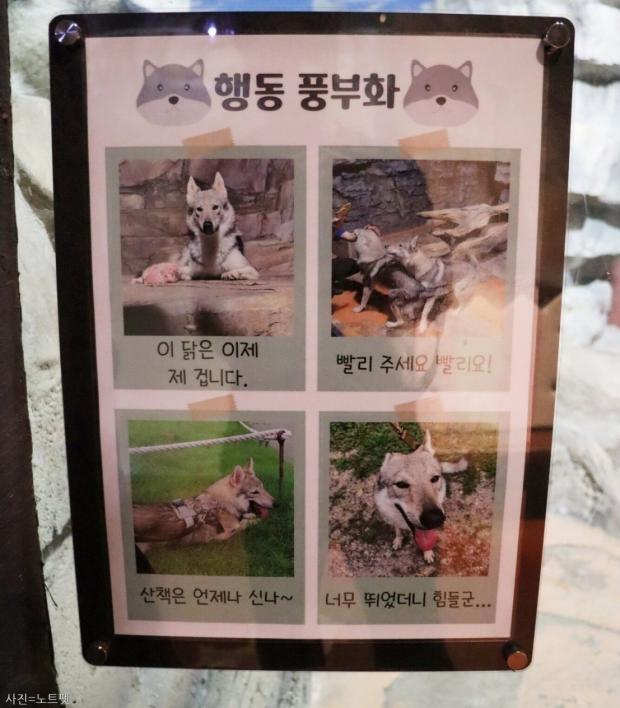 동물원에 전시되는 개와 고양이는 누가 보호해 주나