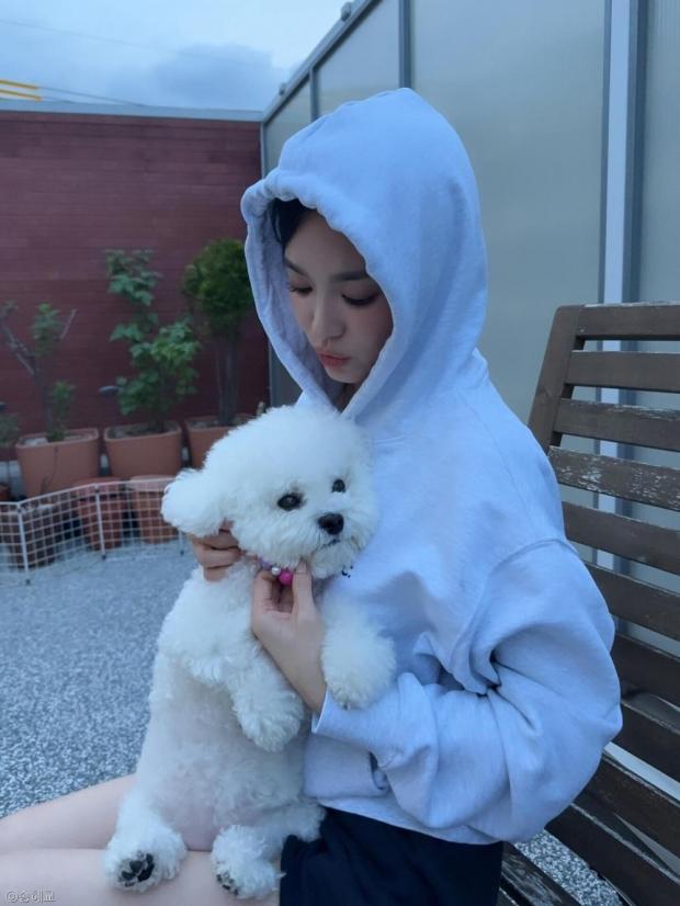 사진