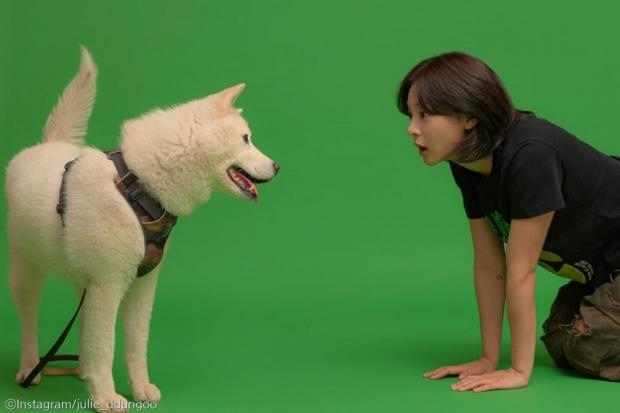 사진