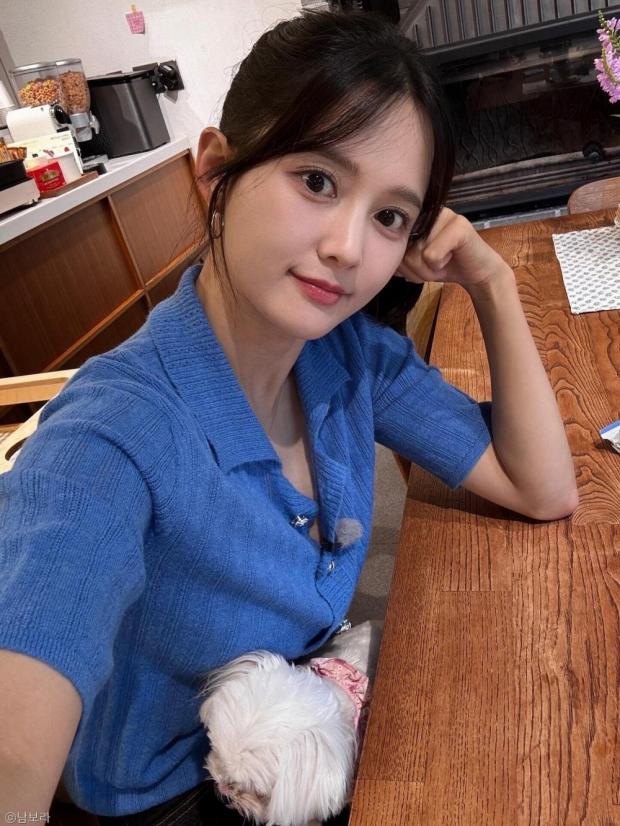 사진