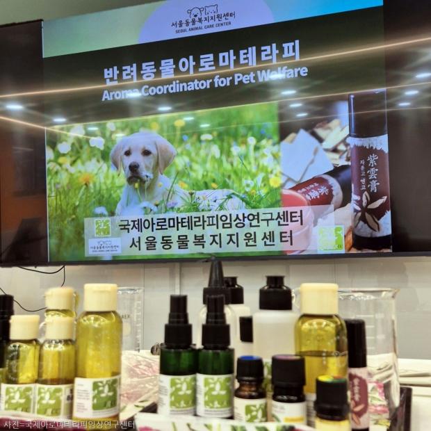 반려인과 반려동물 건강을 위한 아로마 클래스, 서울시립동물복지센터에서 개최