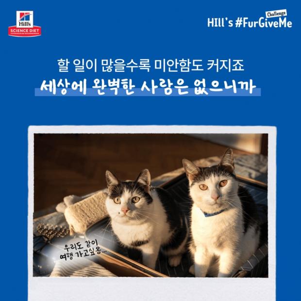 ⓒ노트펫