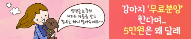 노트펫