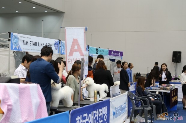 노트펫