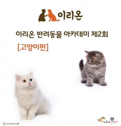 노트펫