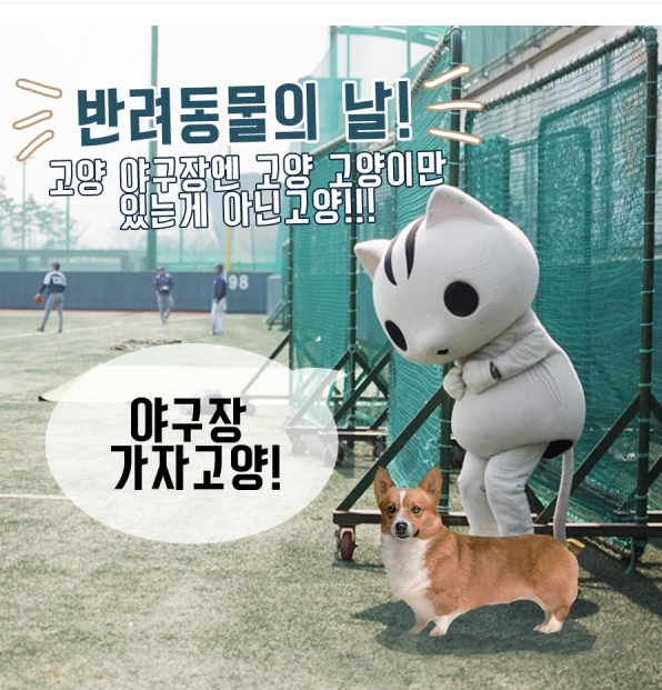 노트펫