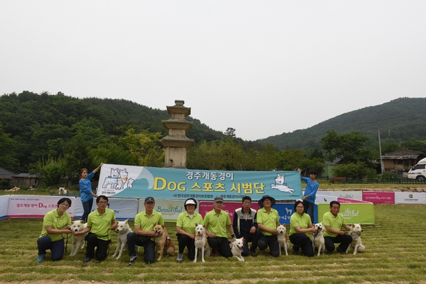 노트펫