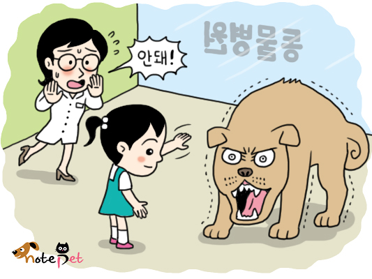노트펫