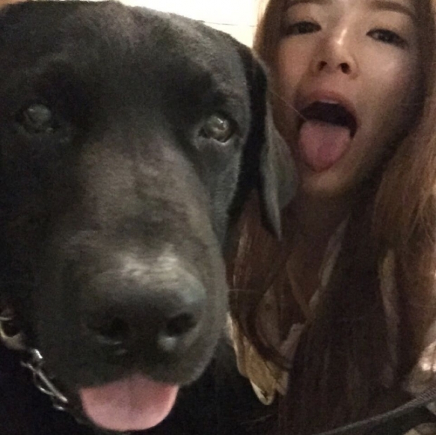 노트펫