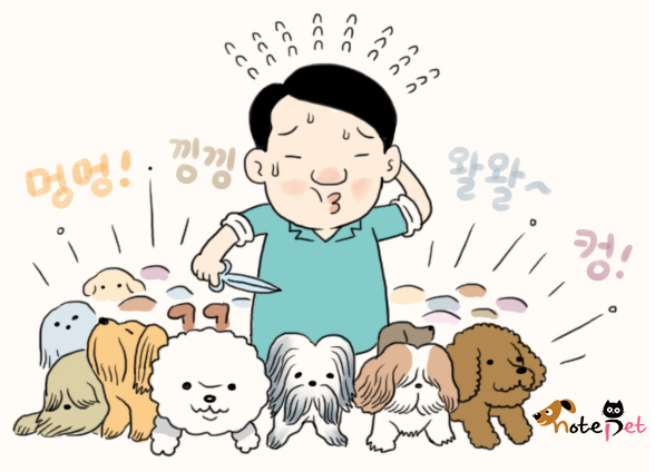노트펫