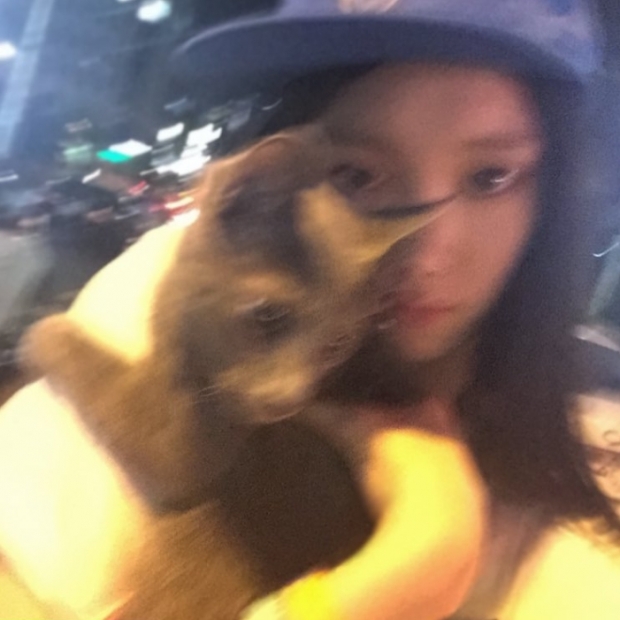 노트펫