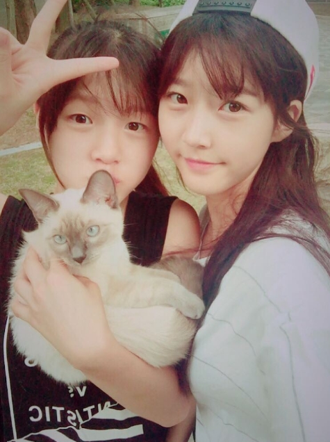 노트펫