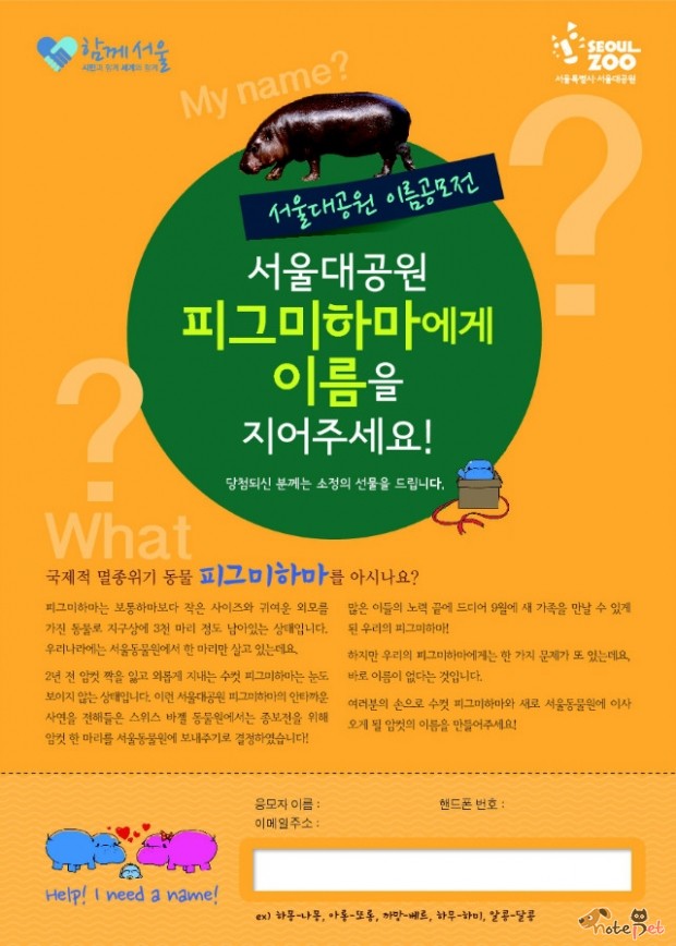 노트펫