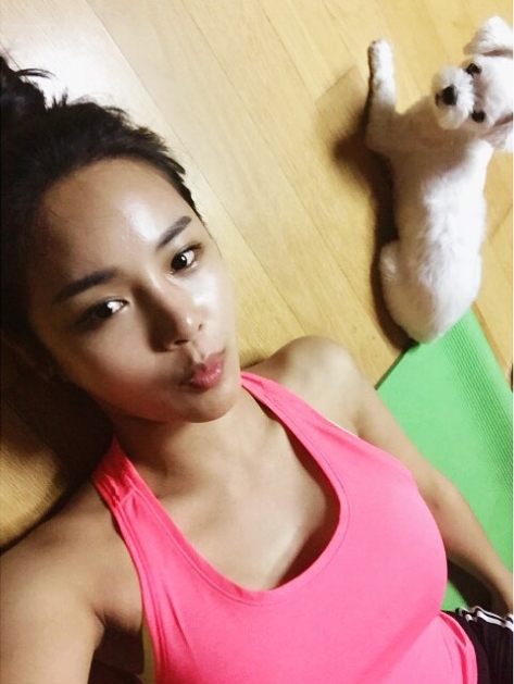 노트펫
