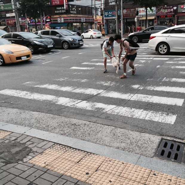 노트펫