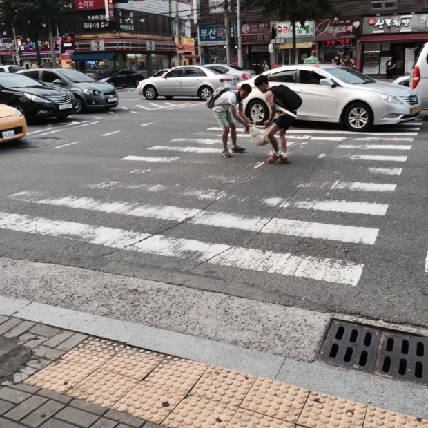 노트펫