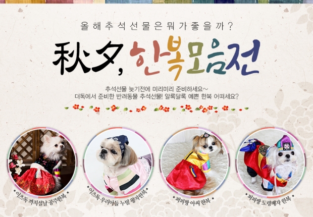 노트펫