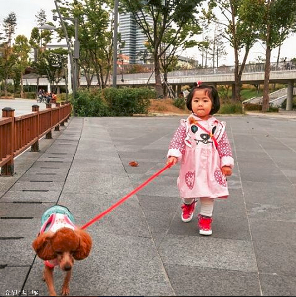 노트펫
