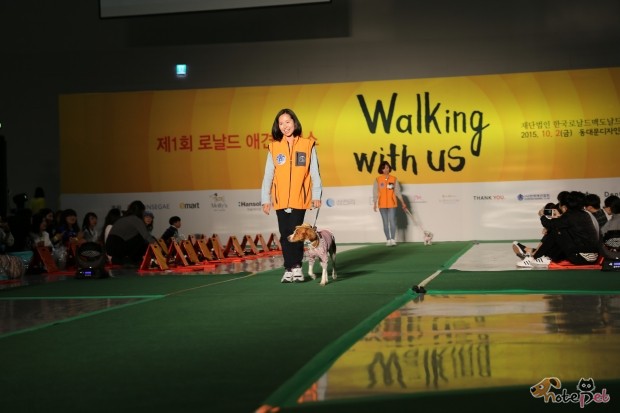 노트펫
